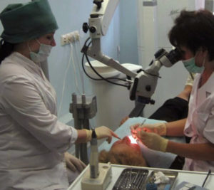 Областная стоматологическая клиника работа под микроскопом